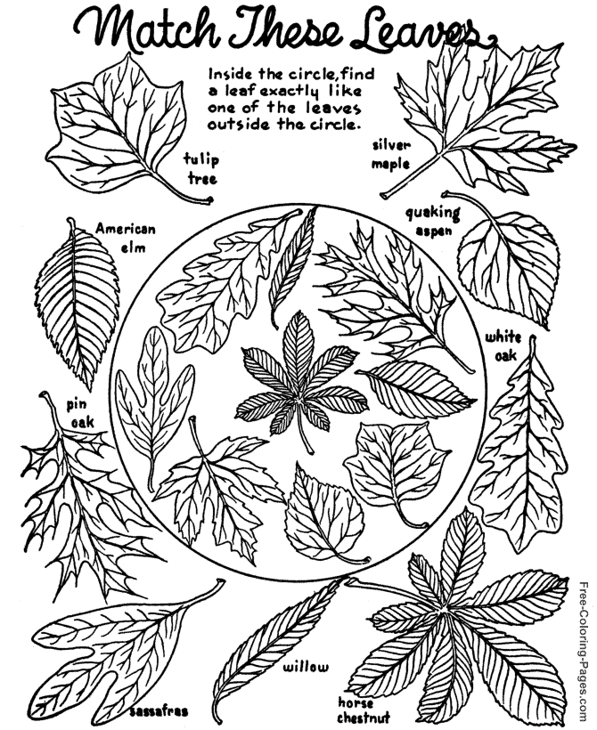 printable-fall-activity-sheets-printable-word-searches