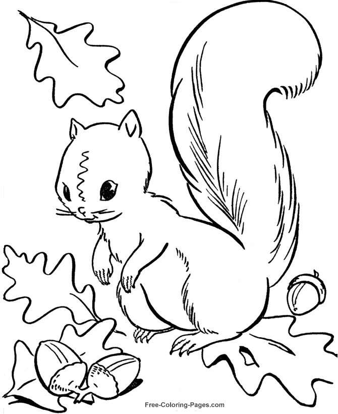 Autumn Coloring Pages Sheets and Pictures 10