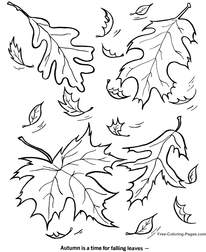Autumn Fall Coloring Pages Sheets Pictures Season