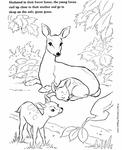96 Large Animal Coloring Pages Best
