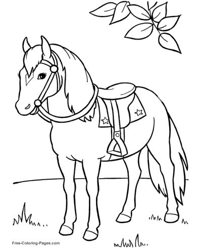 57 Blank Coloring Pages Animals  Best HD