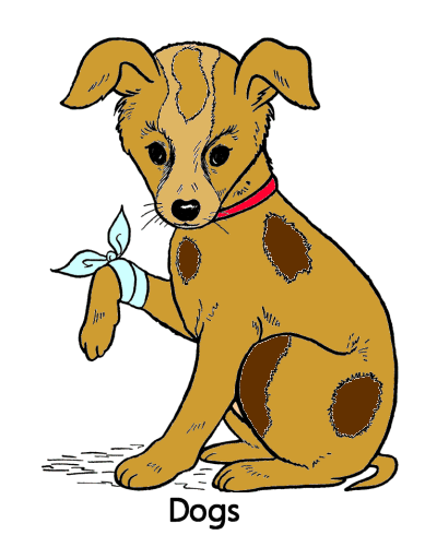 570 Top Coloring Pages Of Dogs And Horses Download Free Images