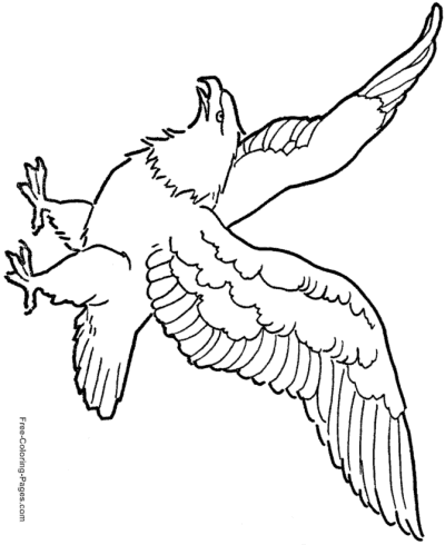 Flying bald eagle coloring pages