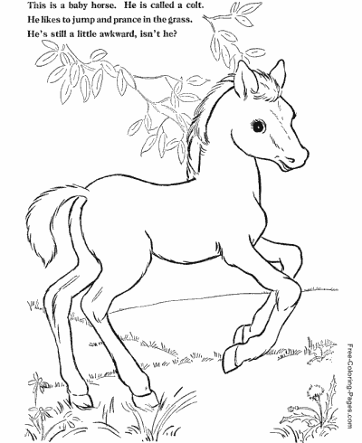 500 Collections Horse Coloring Pages Online  Best HD