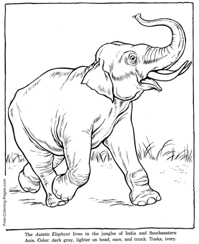 Free printable zoo coloring pages